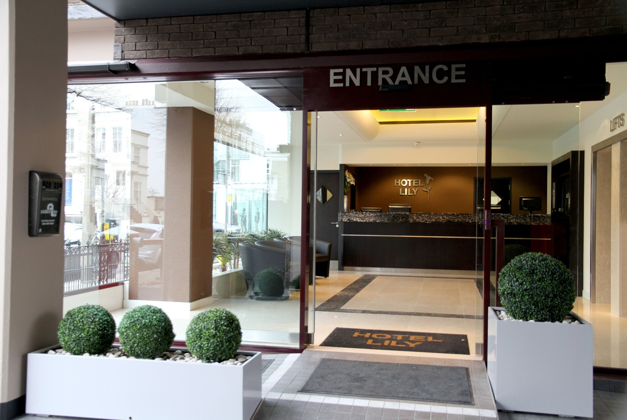 Hotel Lily London: A Cozy Stay in the Heart of London’s Vibrant District